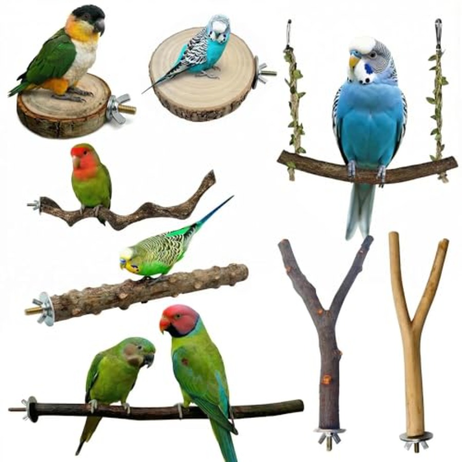 Health & Wellness Vector - 8PCS natural wood bird perches for