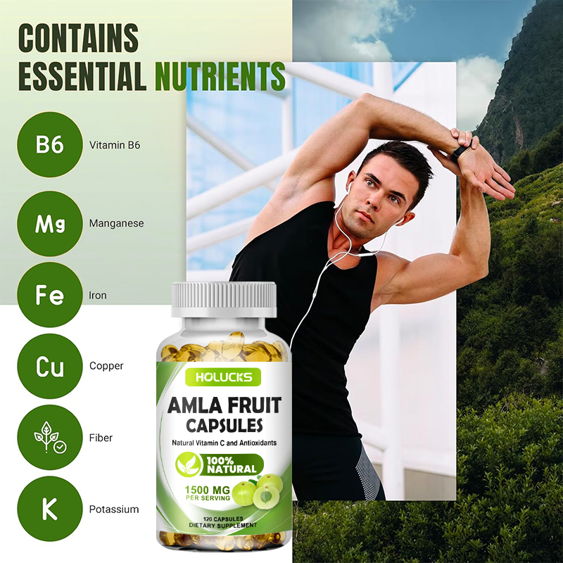 HOLUCKS Amla Fruit Extract Cap - огляд і ціна Health Wellness Day