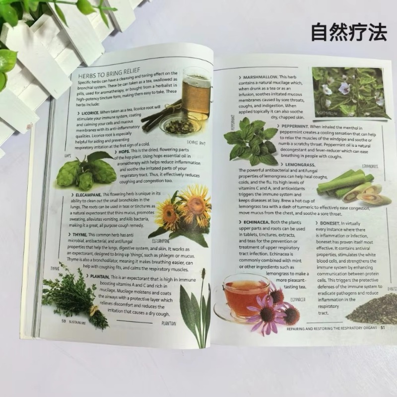 Sustain Me English Paperback B - огляд і ціна Health Wellness Foundation