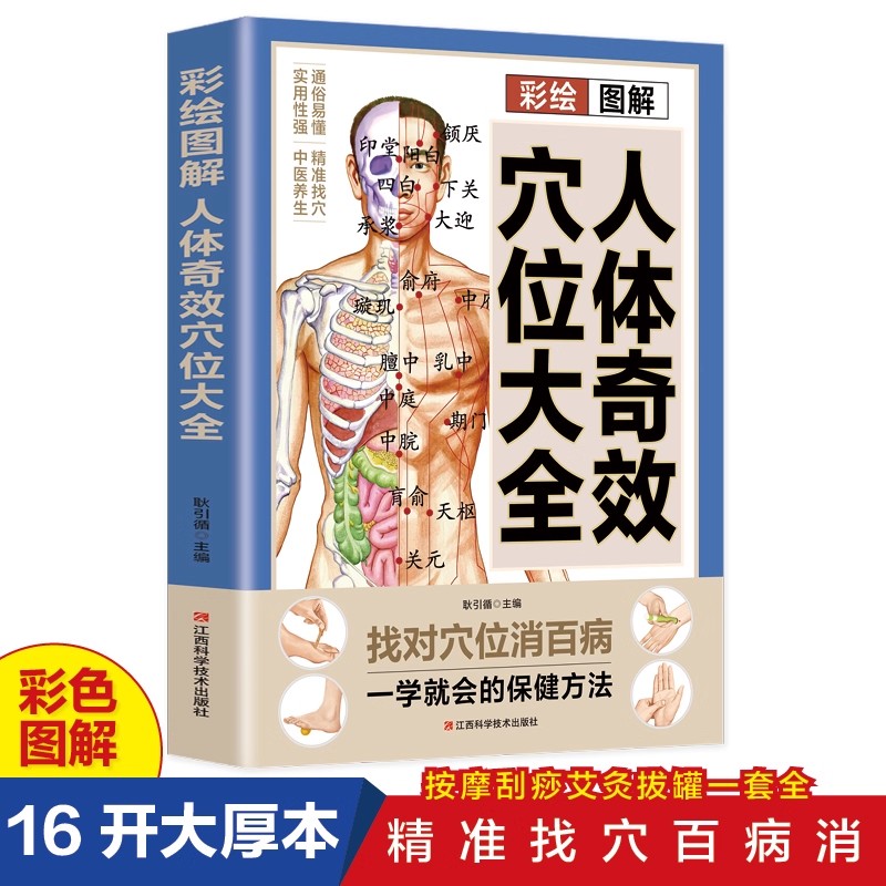 Complete Guide to Acupoint Mas - огляд і ціна Health & Wellness Vector
