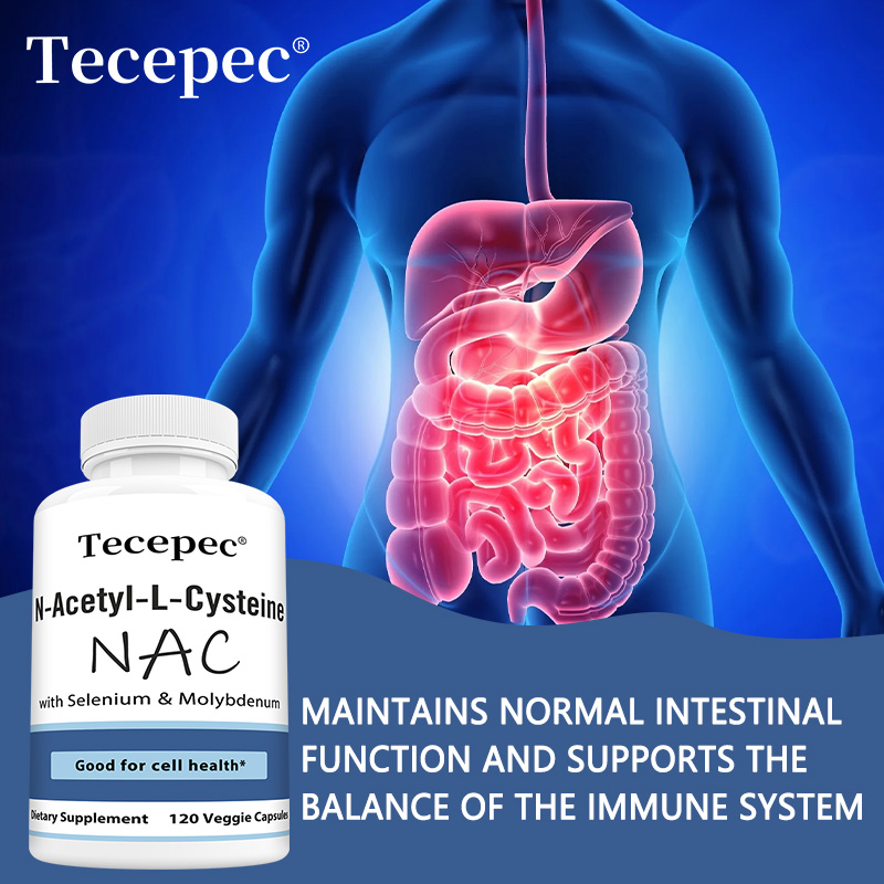 NAC Capsules – Antioxidant, Su - огляд і ціна Health Wellness Day